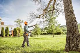 Best Fruit Tree Pruning  in Monee, IL